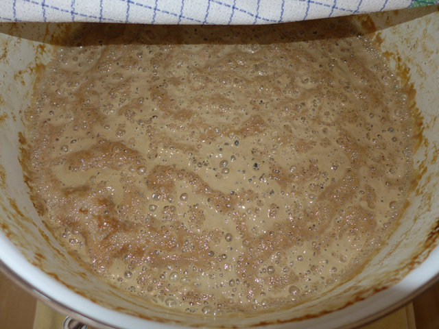 Hauptgärung Tag 7