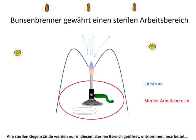 bunsenbrenner.jpg