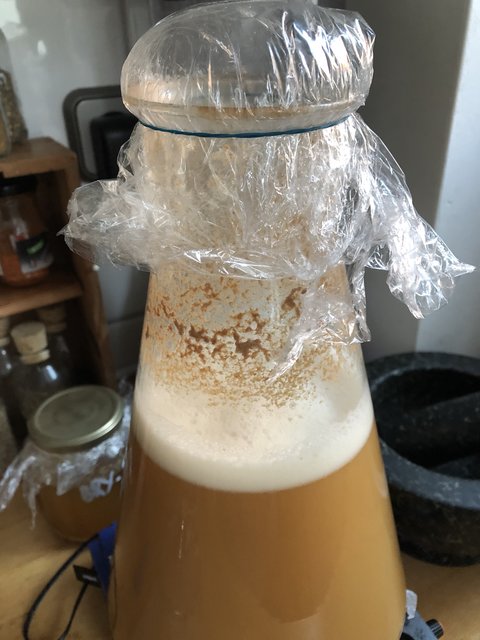 IMG_3506.jpg (2.21 MiB) 10278 mal betrachtet Mit Frischhaltefolie abdecken, dann sieht man das CO2 entsteht.