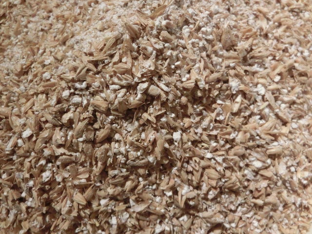 CIMG9650.JPG (4.75 MiB) 18770 mal betrachtet Bio Pilsner Malz