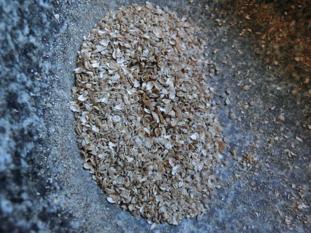 CIMG9670.JPG (5.2 MiB) 18858 mal betrachtet Koriander im Mörser zerstoßen