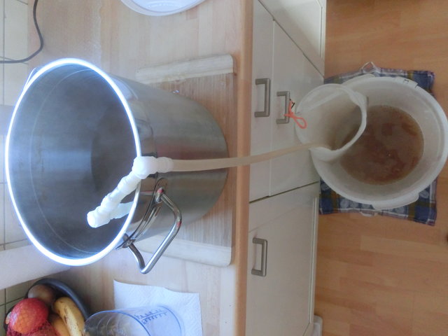 CIMG9673.JPG (3.47 MiB) 18144 mal betrachtet Hopfenseihen