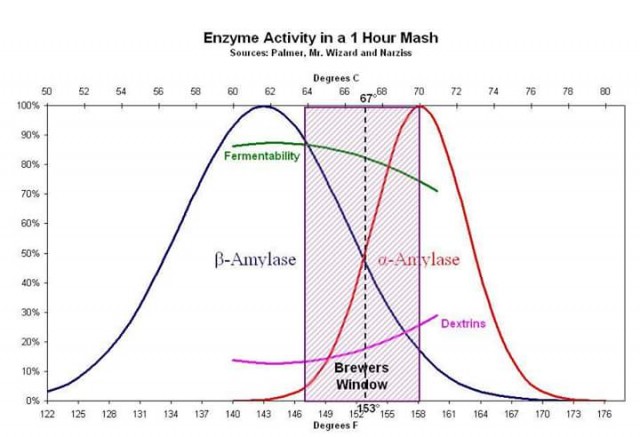 Temperaturen_Enzyme.jpg