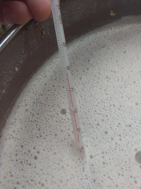 IMAG1412.jpg