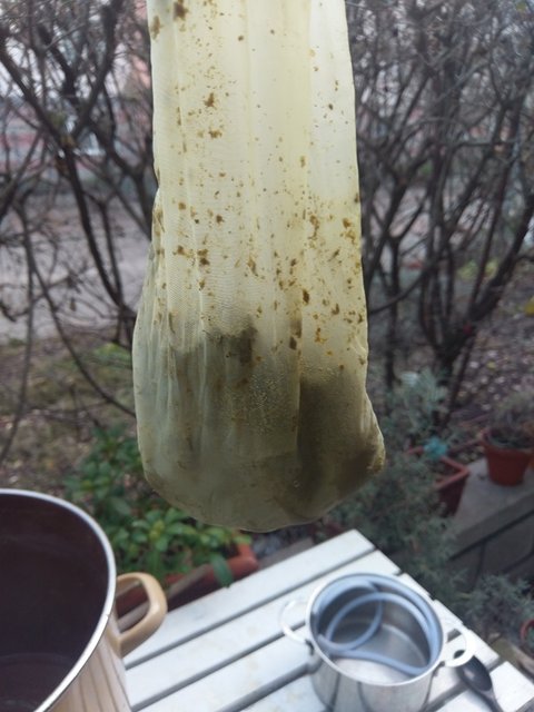 IMAG1443.jpg