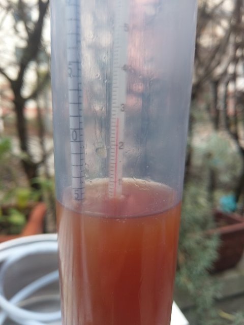 IMAG1444.jpg