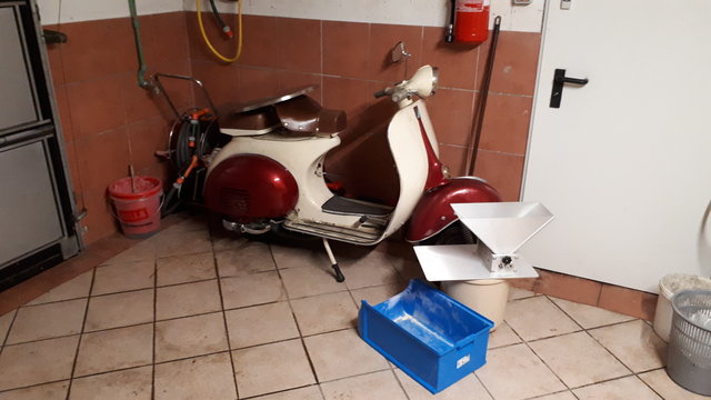 305 Moped schaut zu.jpg