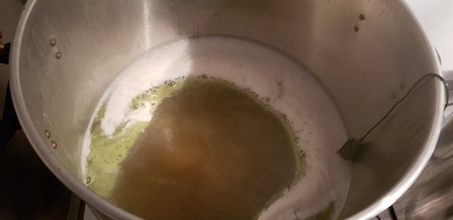 20190216_130616.jpg