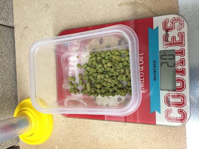 1. Hopfengabe 20g Magnum nach 20 Minuten