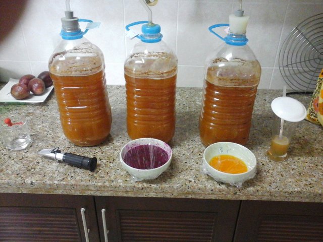 Brewferm Pils, Drachen Frucht, Passion Frucht