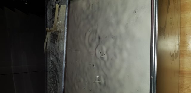 20190217_071644.jpg