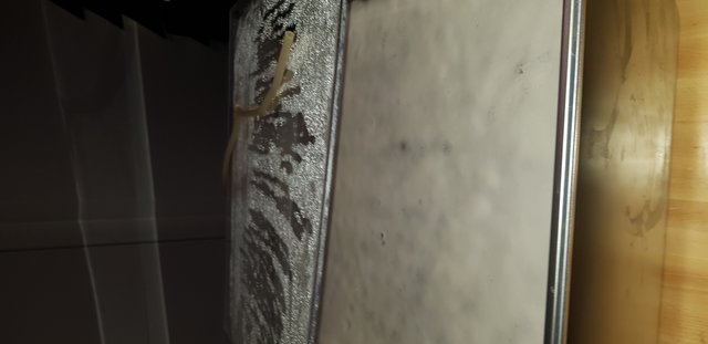 20190217_071651.jpg