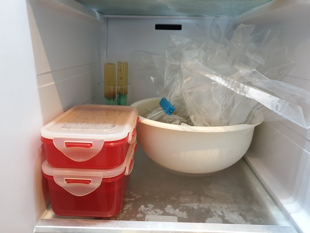 20190310_144026.jpg