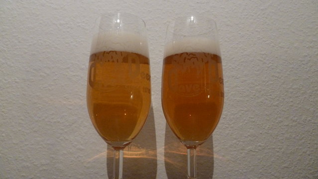 P1130001.JPG