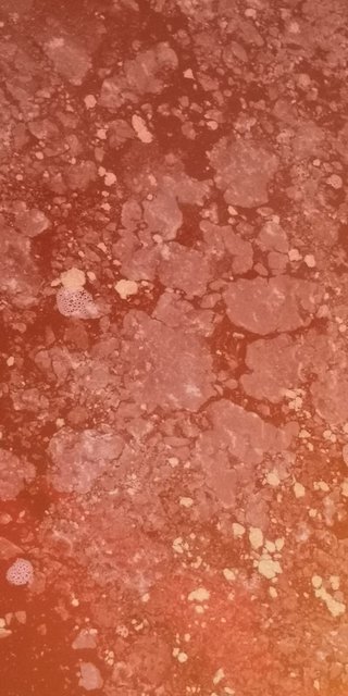 WhatsApp Image 2019-04-06 at 13.06.00.jpeg