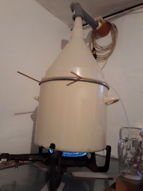 Kochen