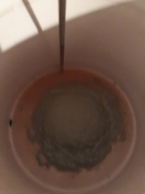 20190408_221436-1548x2064.jpg