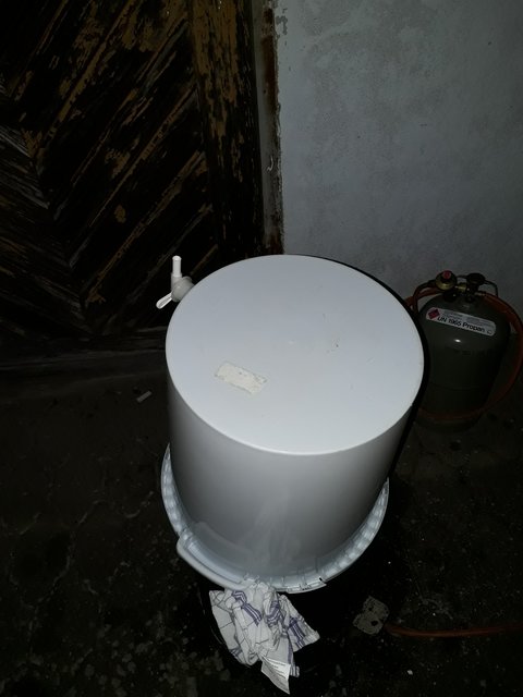 20190408_203447-1548x2064.jpg