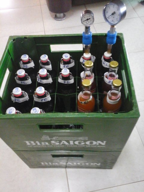 insgesamt 36 Flaschen a 330 ml aus eine 1,5 kg Brewferm Dose
