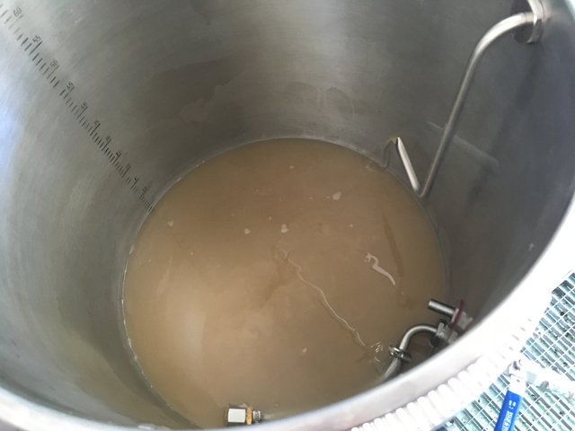 nach 30min Läutermaische umpumpen in die Pfanne