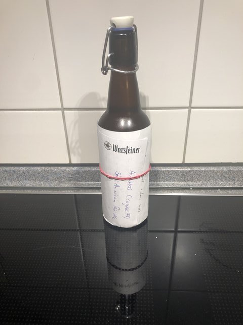 18B - American Pale Ale
