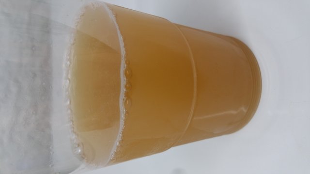 Probe / Zwickel
