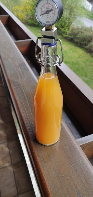neipa.jpg