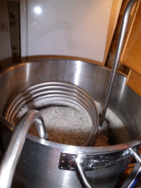 Der Würzekühler funktionierte fast zu gut. Hab nur kurz was gegessen und schon war die Würze auf 13,5 Grad heruntergekühlt. Ich musste sie danach etwas wärmen.
