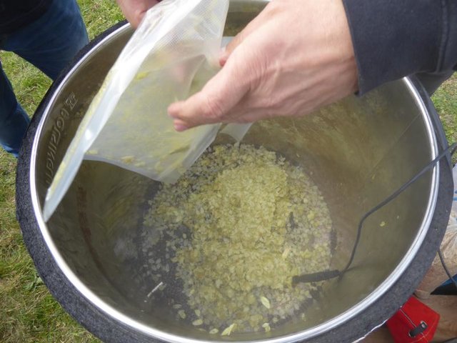 200 g Hopfendolden kommen dazu. Bei 80°C  30 min ziehen lassen und ...