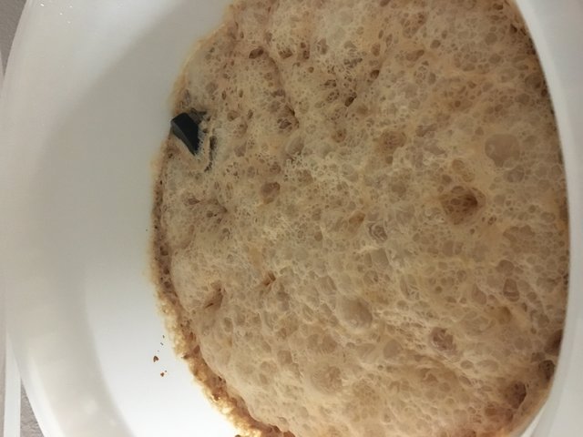 IMG_1050.JPG (1.75 MiB) 13224 mal betrachtet Donnerstag (9.5.2019)