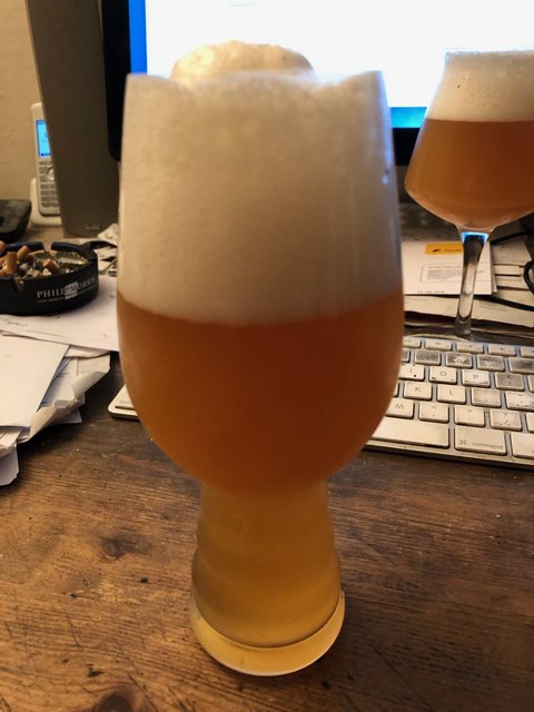 IMG_0637.jpg (140.78 KiB) 10399 mal betrachtet Nelson Saison