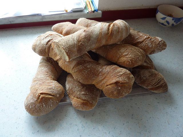 P1090787_Bildgröße ändern.JPG