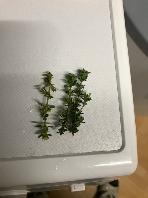 20190505_101119970_iOS.jpg