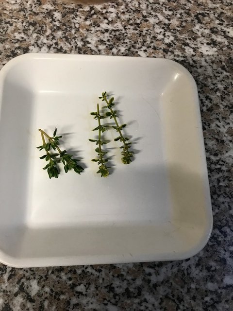 20190512_171144106_iOS.jpg