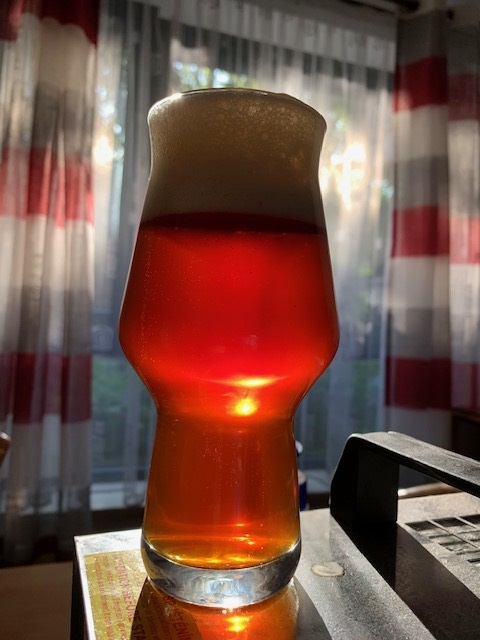 Jungbier, direkt nach dem Abfüllen und Zwangskarbonisieren.