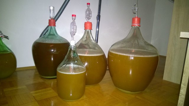 Das Ergebniss von 11h Arbeit, noch ohne Hefe. Bin mir mit den gemessenen Stammwürzen auch nicht wirklich sicher, habe mir an dem Abend nicht mehr so viele Gedanken darüber gemacht, da einfach nicht mehr &quot;Platz&quot; für die Würze da war. Ist so schon mutig genug. Aber laut unseren Messungen sind das ~22l 23,75°P Lambic, ~23l 18,75°P Wit(ohne) und ~26l 16,25°P Wit(mit). Hierbei unterstelle ich uns jetzt aber mal erhebliche Messfehler. Ist eine höhere Stammwürze immer dunkler als eine niedrigere oder kommt das von Oxidation? Ich habe mit Absicht die ersten Eimer für das Lambic verwendet da mir im nachhinein eingefallen ist das ich die Jodprobe vergessen habe :X und falls jetzt noch Stärke drinnen war wäre das ganze nicht so schlimm gewesen.