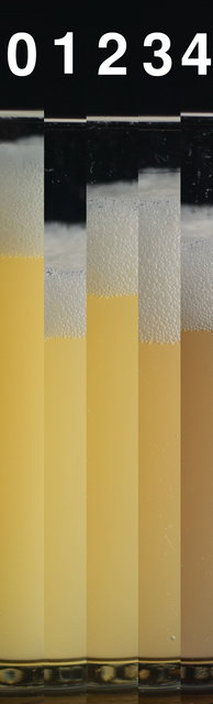 stripes_v001.jpg