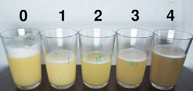 compare_v001.jpg (768.47 KiB) 10102 mal betrachtet In Probe2 leider den Bodensatz der Flasche geschüttet, daher ist sie sehr hell (Bild wurde als letztes aufgenommen)