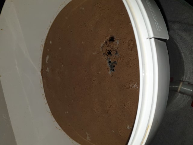 20190709_181416.jpg