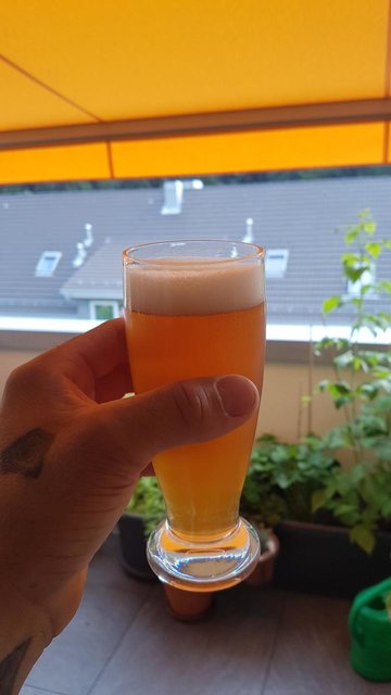 rps20190709_193526.jpg (58.21 KiB) 9397 mal betrachtet Melon PA