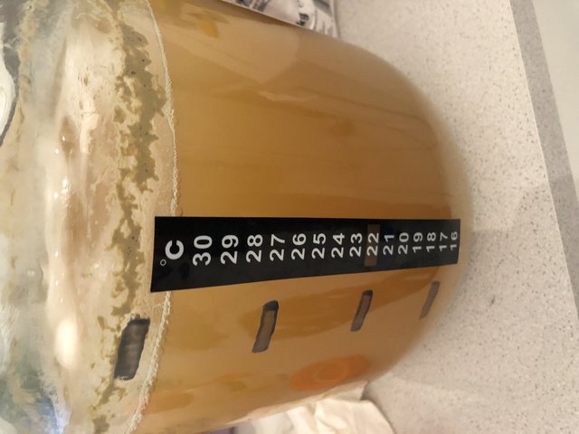 883624ED-DA7B-46D4-A028-B27545F60500.jpeg