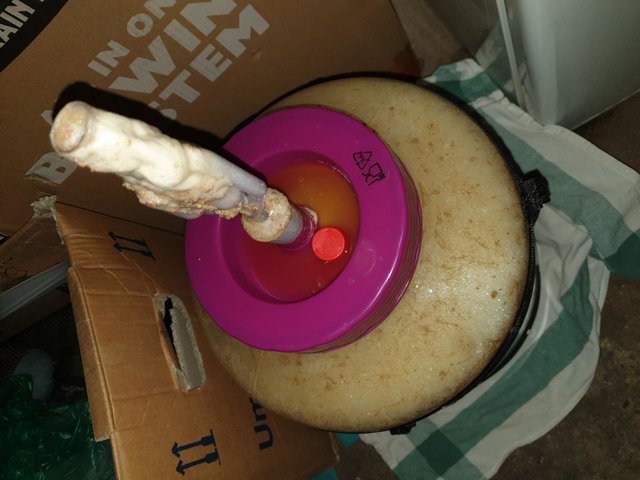 rps20190720_161510.jpg