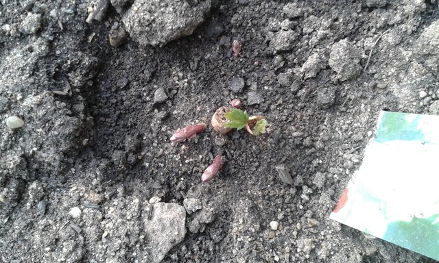 20150325_164517.jpg