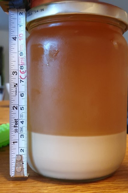 20190728_075930.jpg