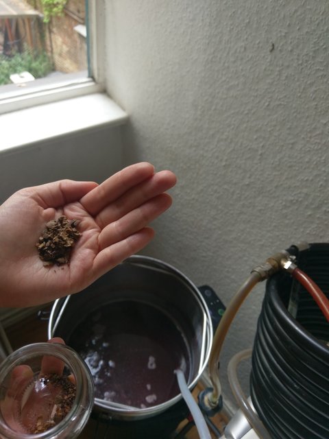 Piment wartet auf den Einsatz