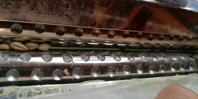 Angeraute Walzen der Nudelmaschine