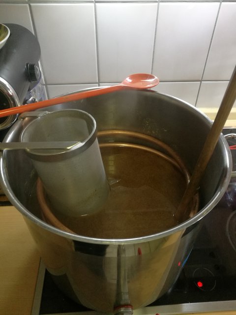 5 min vor Kochende wird der Würzekühler eingetaucht