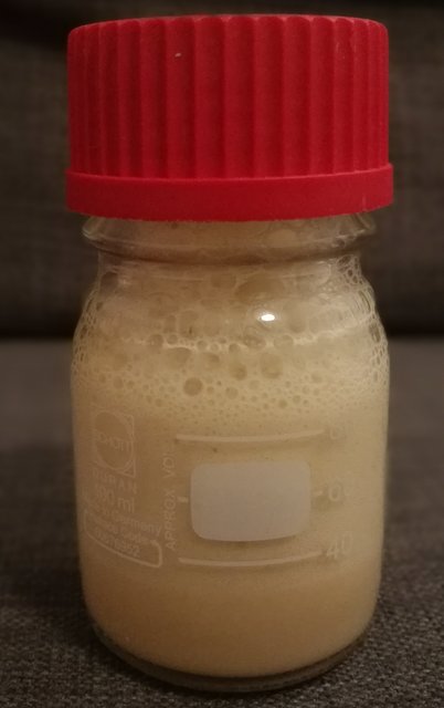 Etwas Krausen für ein Belgian Blonde das bald gebraut wird!