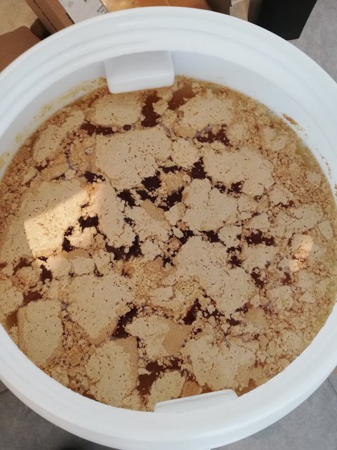 Protein-Hefe Schmodder.jpg