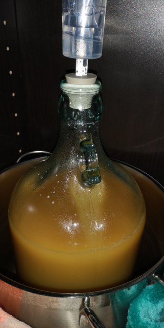 2019-08-22 19.38.16.jpg